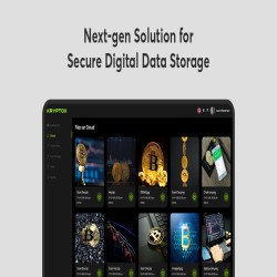 Next-gen Solutions for Secure Digital Storage